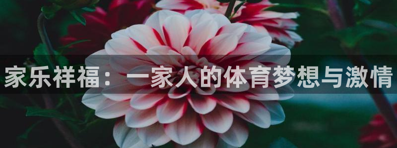 betway西汉姆：家乐祥福：一家人的体育梦想与激情