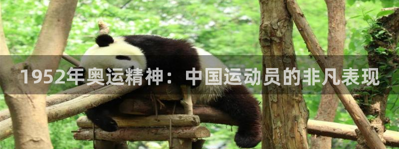 必威betway西汉姆联：1952年奥运精神：中国运动员的非凡表现
