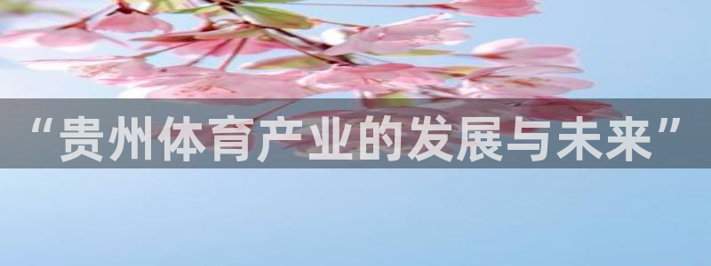 betway西汉姆：“贵州体育产业的发展与未来”