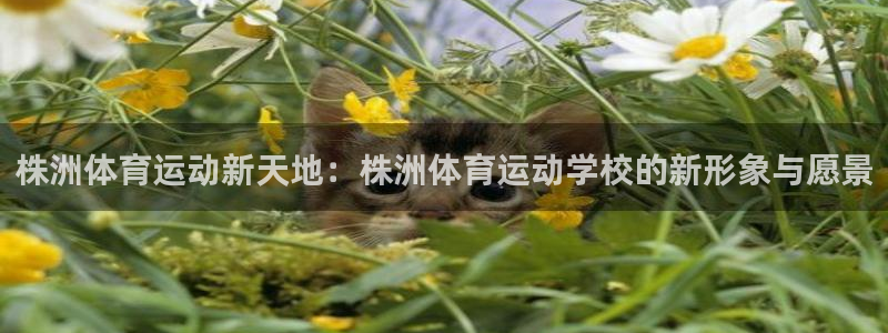 betway西汉姆：株洲体育运动新天地：株洲体育运动学校的新形象与愿景