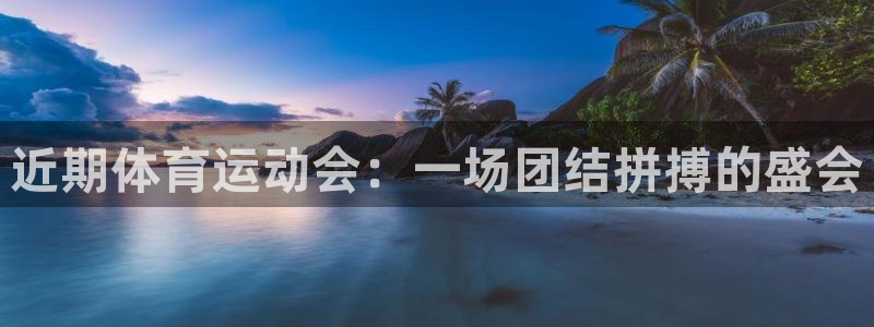 betway西汉姆联：近期体育运动会：一场团结拼搏的盛会