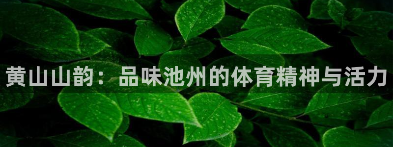 betway西汉姆官网：黄山山韵：品味池州的体育精神与活力