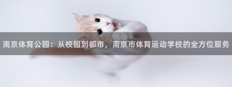 betway西汉姆：南京体育公园：从校园到都市，南京市体育运动学校的全方位服务