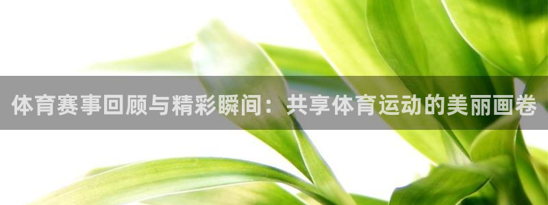betway西汉姆：体育赛事回顾与精彩瞬间：共享体育运动的美丽画卷