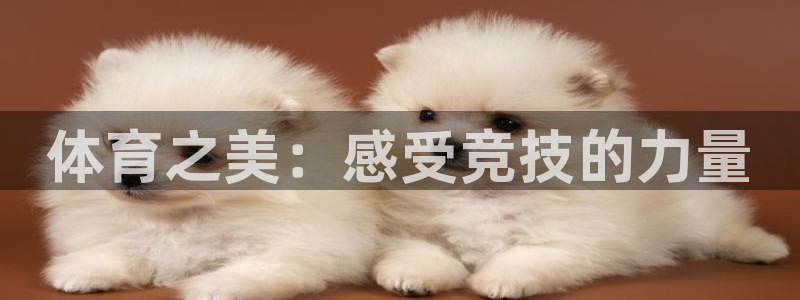 必威betway西汉姆联：体育之美：感受竞技的力量