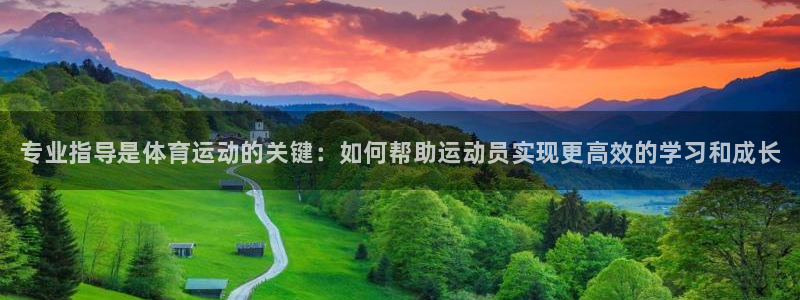 betway西汉姆联：专业指导是体育运动的关键：如何帮助运动员实现更高效的学习和成长