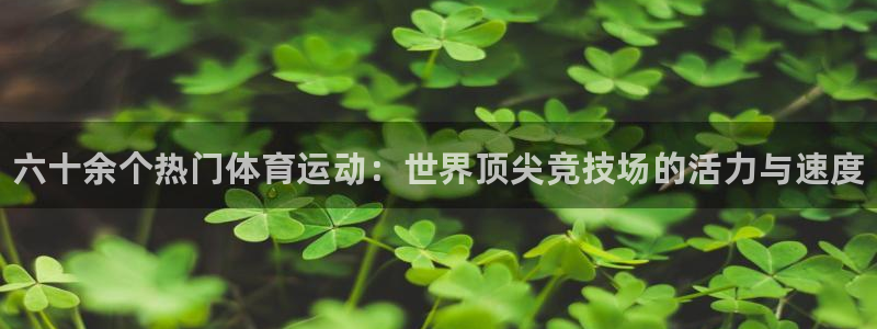 betway西汉姆联官网：六十余个热门体育运动：世界顶尖竞技场的活力与速度
