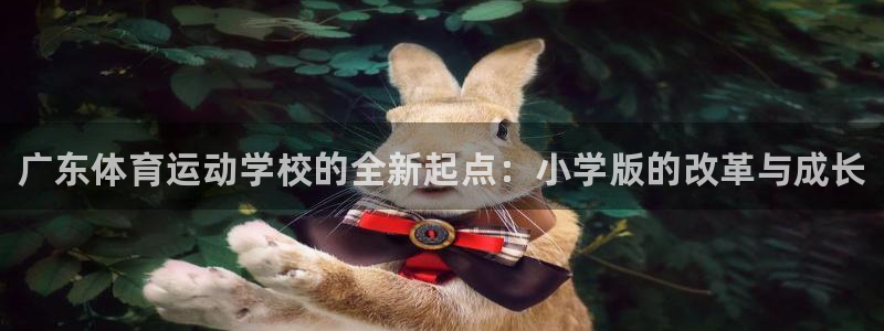 betway西汉姆：广东体育运动学校的全新起点：小学版的改革与成长