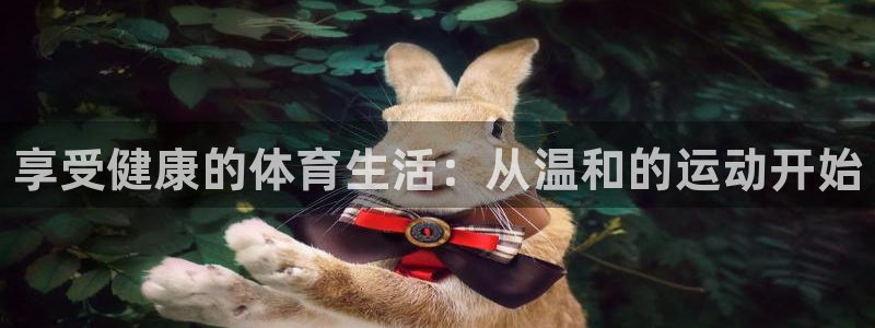 betway西汉姆联官网：享受健康的体育生活：从温和的运动开始