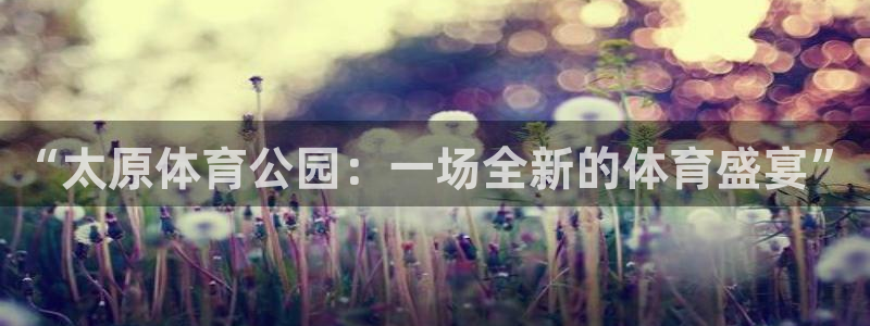 betway西汉姆联：“太原体育公园：一场全新的体育盛宴”