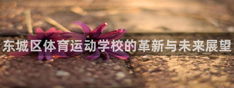betway西汉姆联：东城区体育运动学校的革新与未来展望
