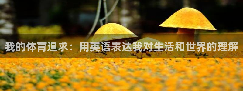 betway西汉姆：我的体育追求：用英语表达我对生活和世界的理解