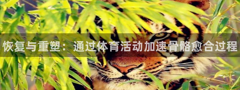 betway西汉姆联官网：恢复与重塑：通过体育活动加速骨骼愈合过程