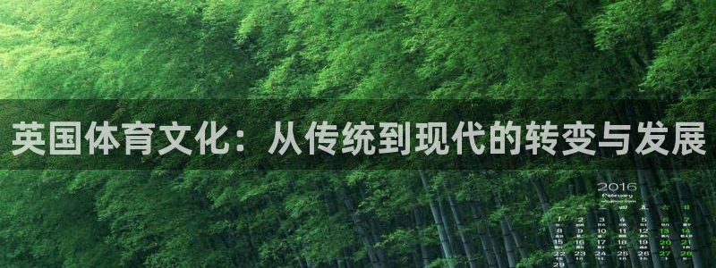 betway西汉姆联：英国体育文化：从传统到现代的转变与发展