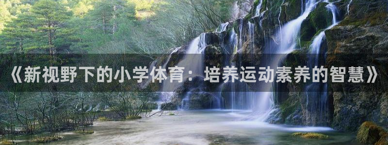betway西汉姆：《新视野下的小学体育：培养运动素养的智慧》