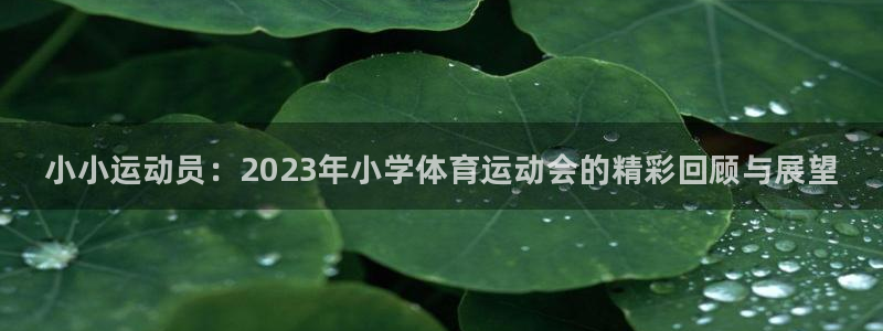 betway西汉姆：小小运动员：2023年小学体育运动会的精彩回顾与展望