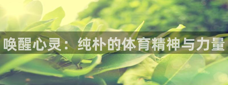 betway西汉姆联：唤醒心灵：纯朴的体育精神与力量