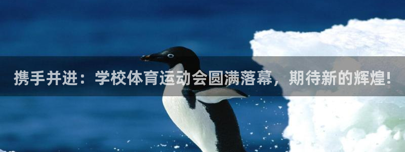 betway西汉姆：携手并进：学校体育运动会圆满落幕，期待新的辉煌!