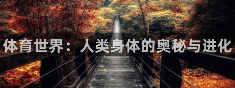 betway西汉姆官网：体育世界：人类身体的奥秘与进化