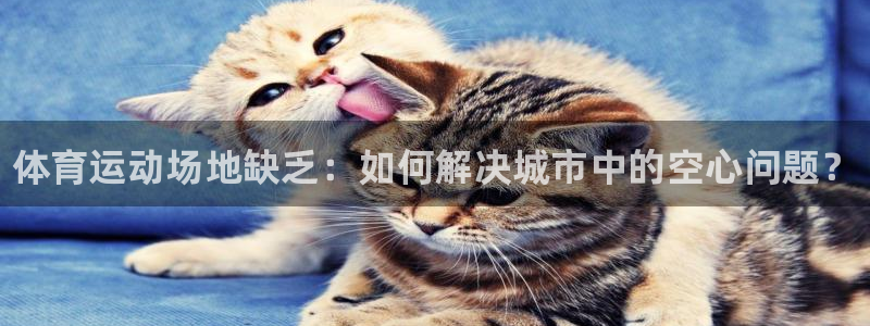 betway西汉姆官网：体育运动场地缺乏：如何解决城市中的空心问题？