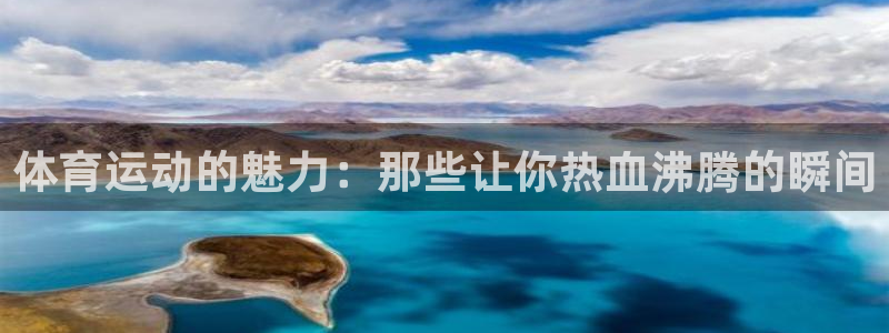betway西汉姆联：体育运动的魅力：那些让你热血沸腾的瞬间