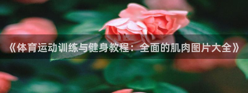 betway西汉姆官网：《体育运动训练与健身教程：全面的肌肉图片大全》