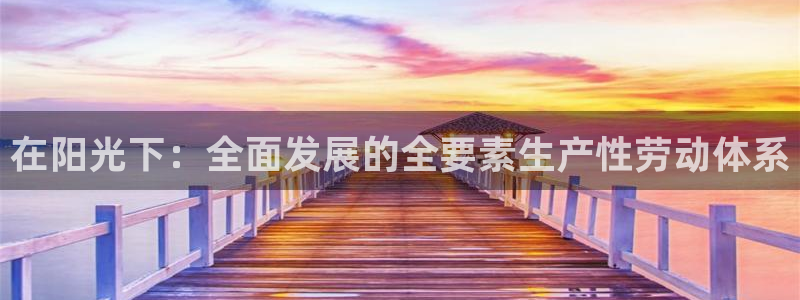 betway西汉姆联：在阳光下：全面发展的全要素生产性劳动体系
