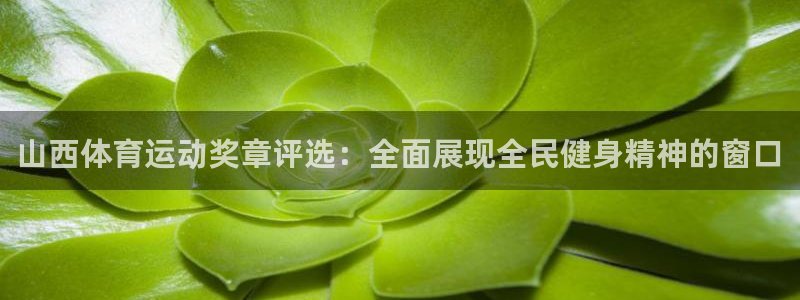 betway西汉姆联：山西体育运动奖章评选：全面展现全民健身精神的窗口